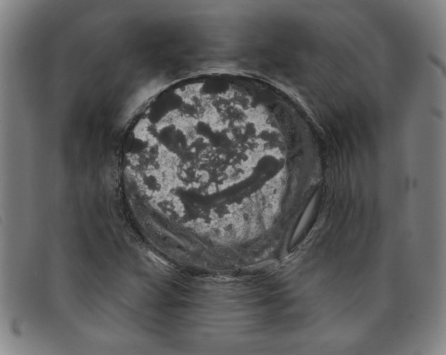 X0000097871359200804041542