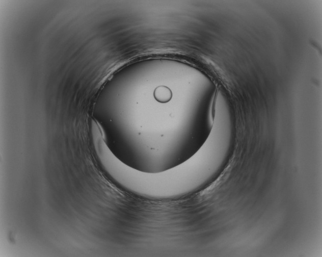 X0000097871361200804041541