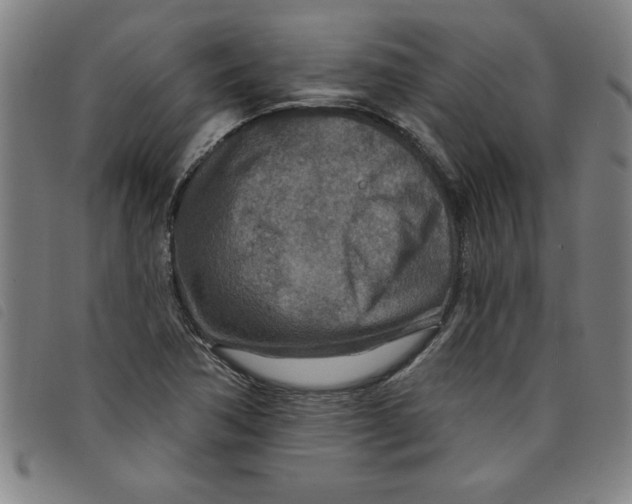 X0000097871362200804041541