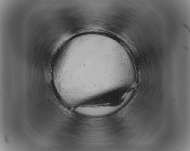 X0000097871363200804041541