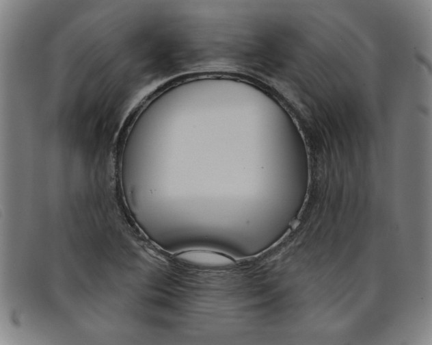 X0000097871364200804041541