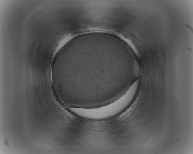 X0000097871365200804041541