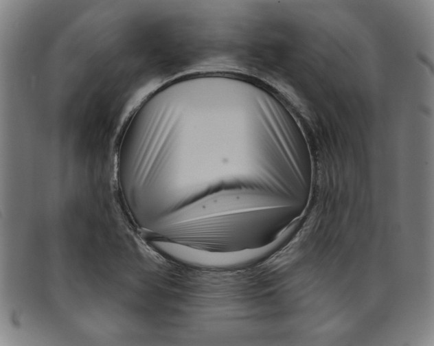 X0000097871366200804041541
