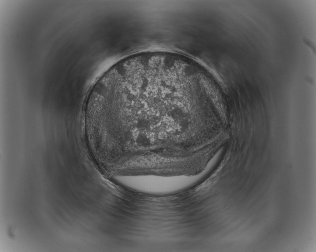 X0000097871367200804041541