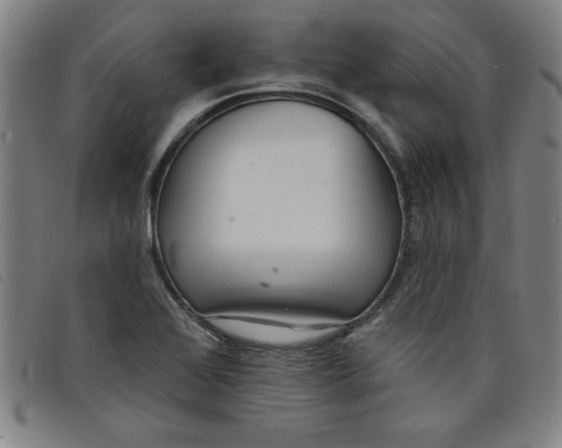 X0000097871368200804041541