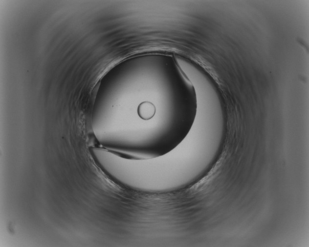 X0000097871369200804041541