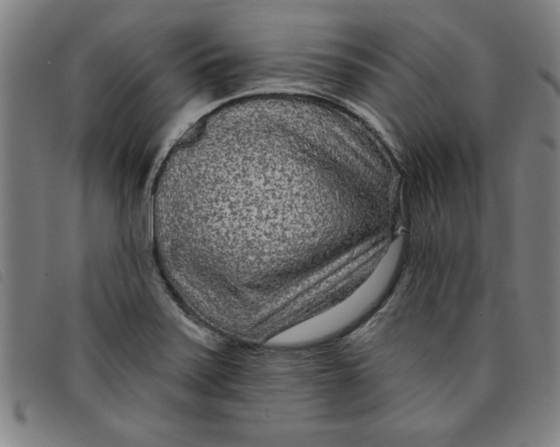 X0000097871371200804041541