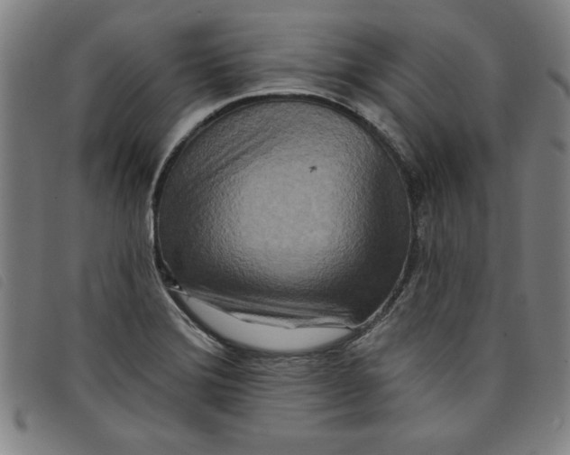 X0000097871372200804041541