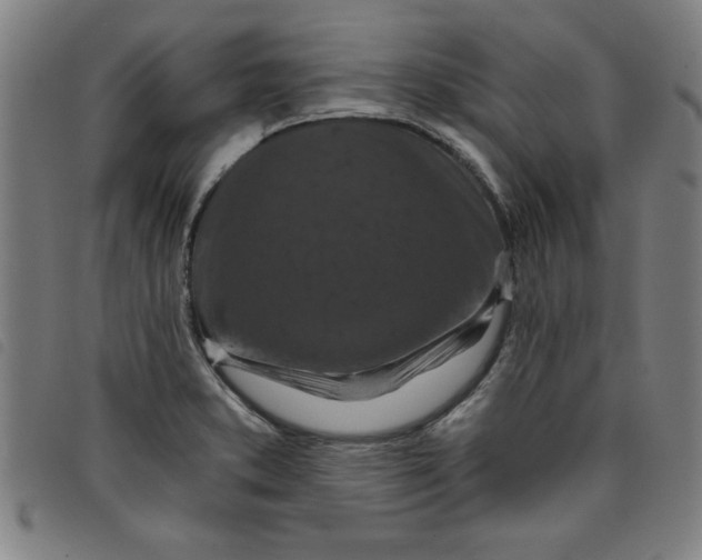 X0000097871373200804041541