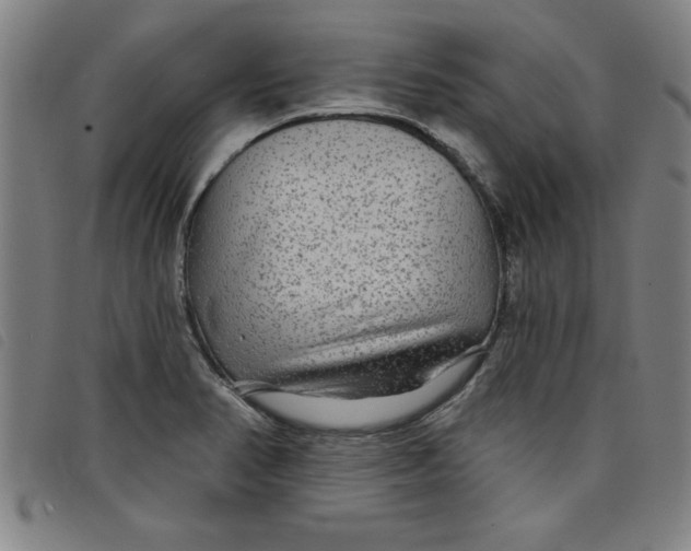 X0000097871374200804041541