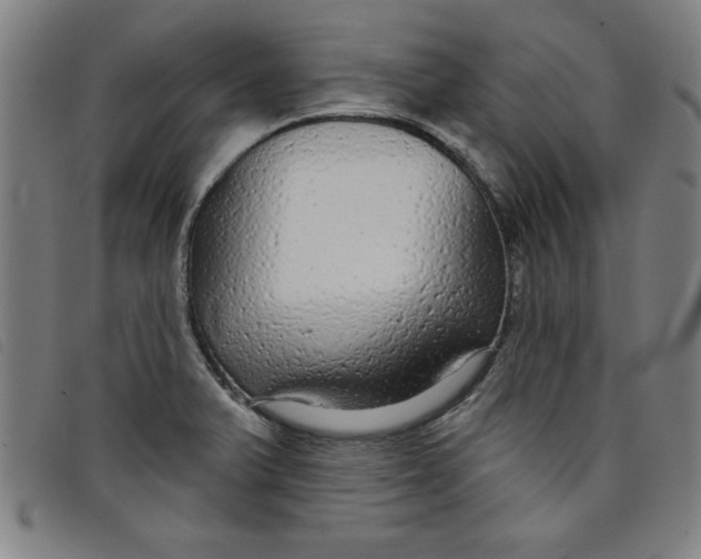 X0000097871375200804041541