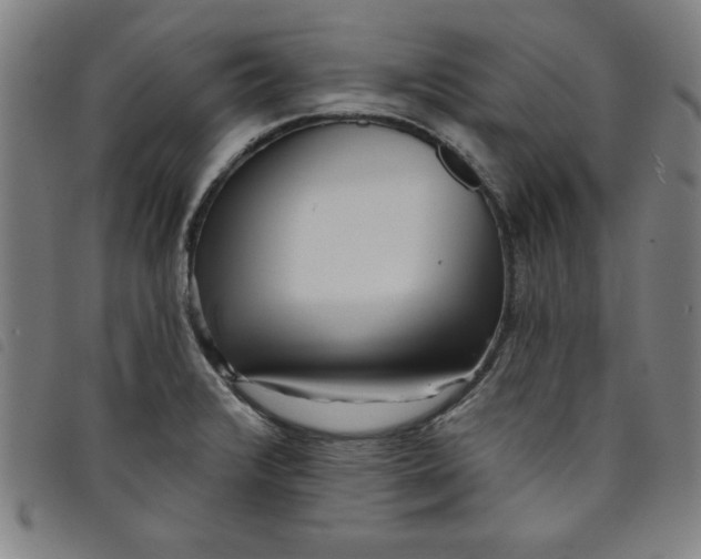 X0000097871376200804041541