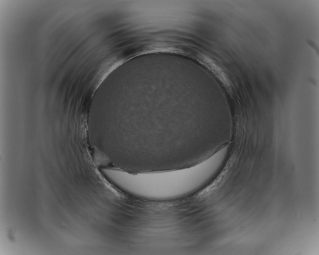 X0000097871377200804041541