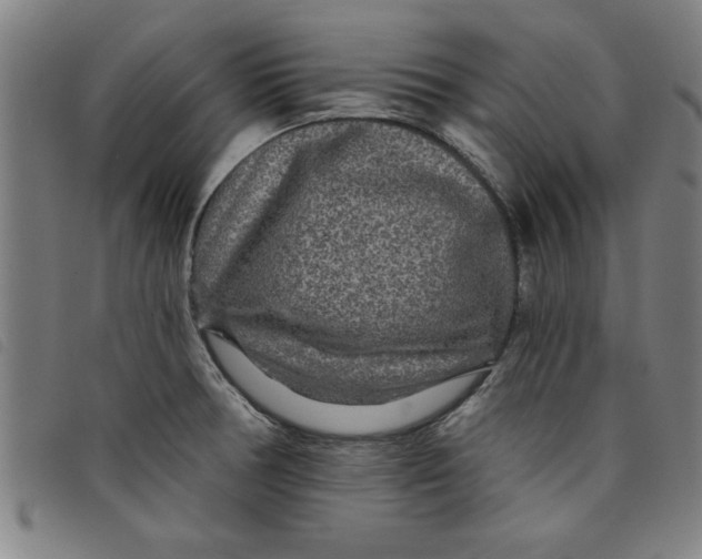 X0000097871378200804041541
