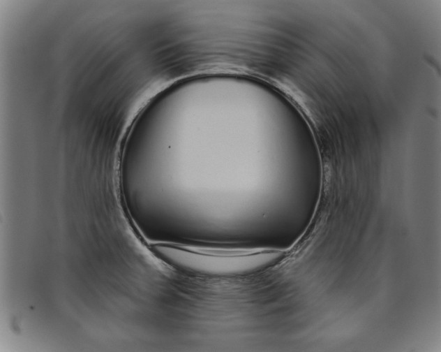 X0000097871379200804041541