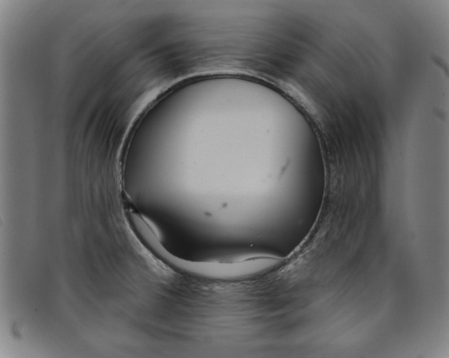 X0000097871380200804041541