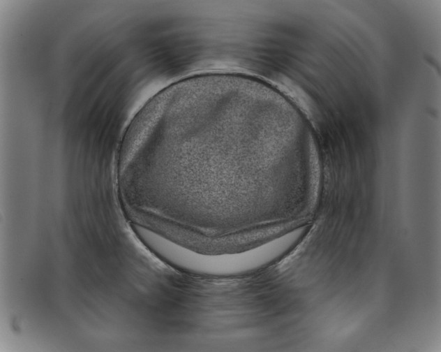 X0000097871382200804041541