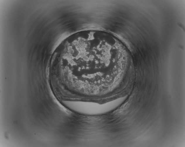 X0000097871383200804041541