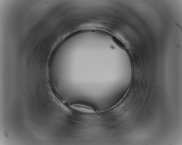 X0000097871384200804041541