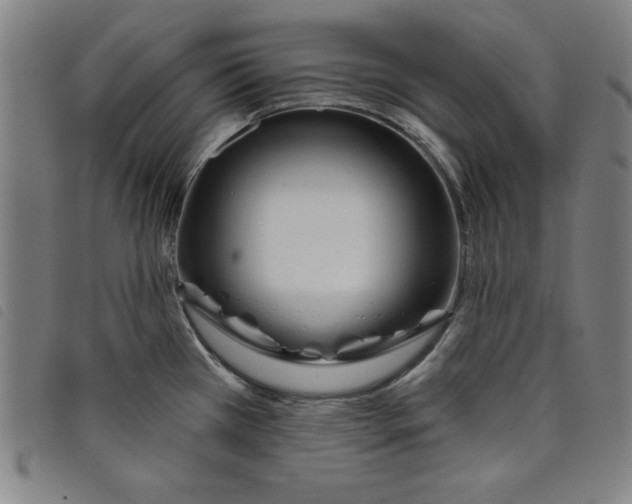 X0000097871385200804041541