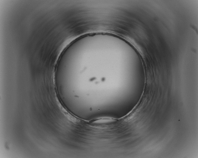 X0000097871388200804041541