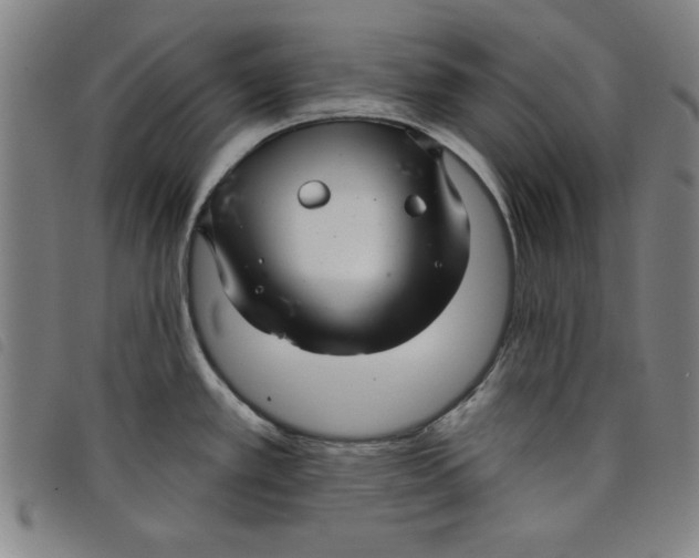 X0000097871389200804041541