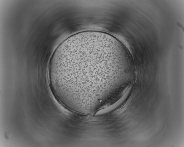 X0000097871391200804041541
