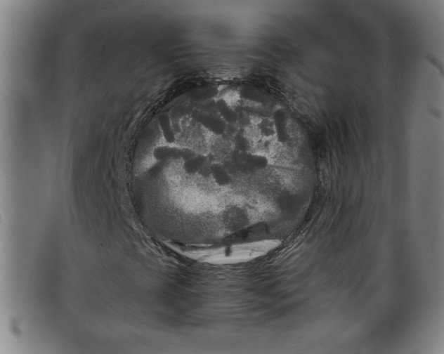 X0000097871393200804041540