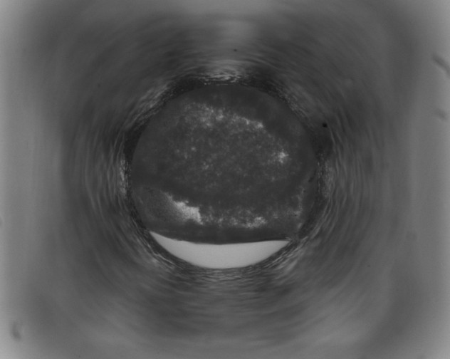 X0000097871394200804041540