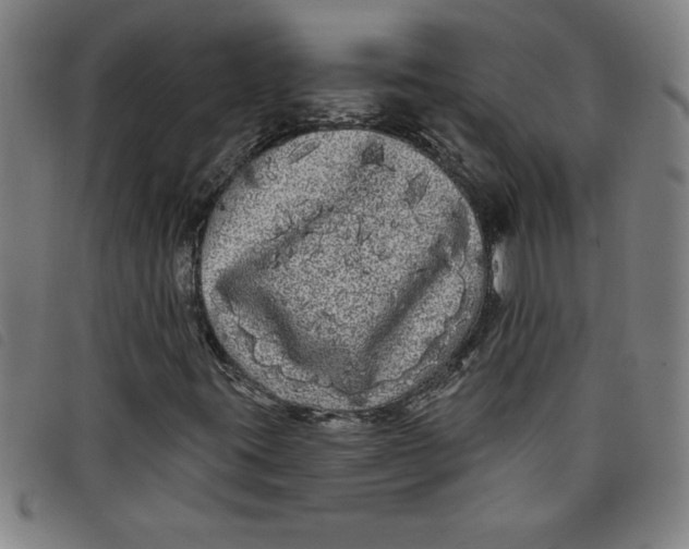 X0000097871395200804041540