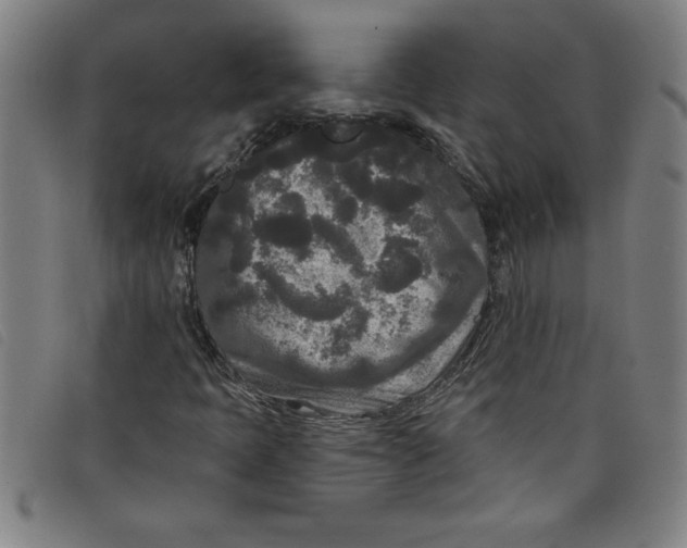 X0000097871397200804041540