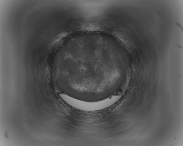 X0000097871398200804041540
