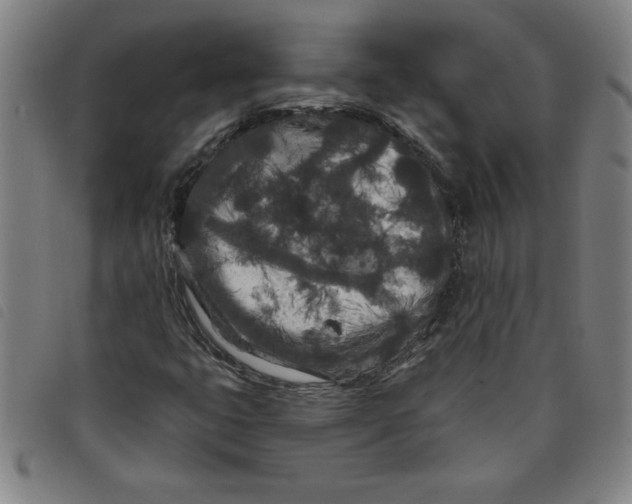 X0000097871399200804041540