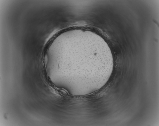 X0000097871400200804041540