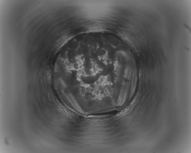 X0000097871401200804041541