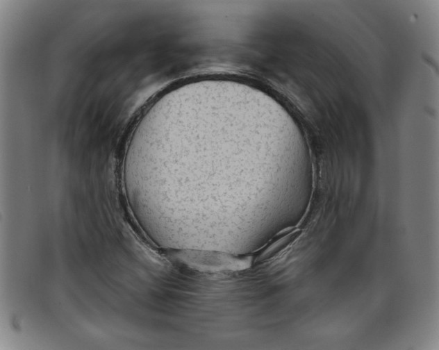 X0000097871404200804041541