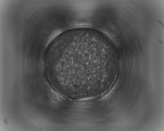 X0000097871405200804041541