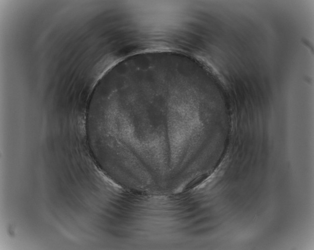 X0000097871409200804041541