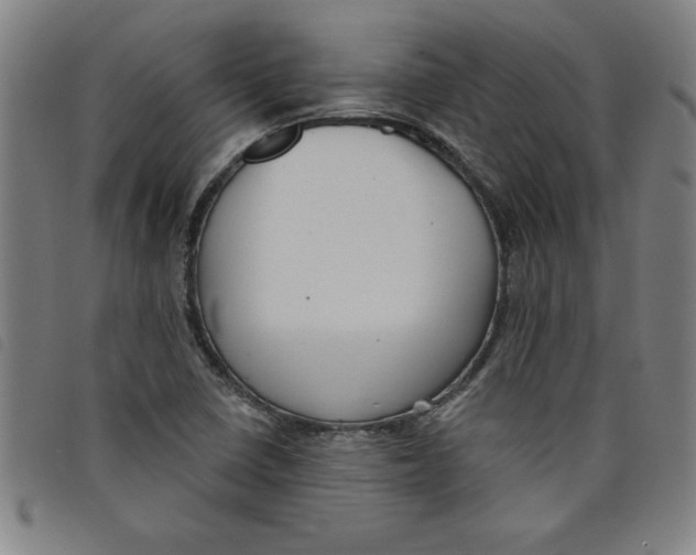 X0000097871410200804041541