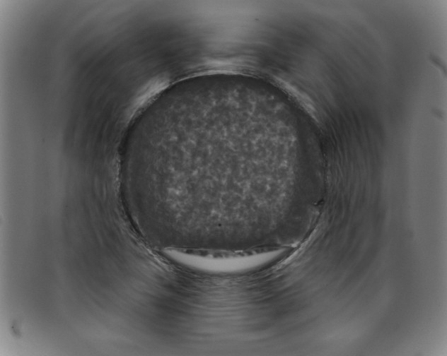 X0000097871411200804041541