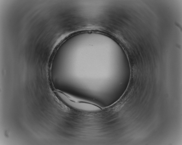 X0000097871412200804041541