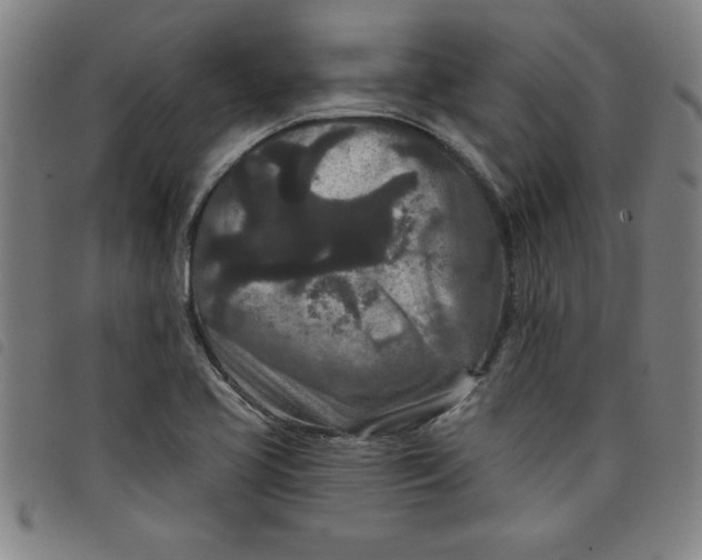 X0000097871413200804041541