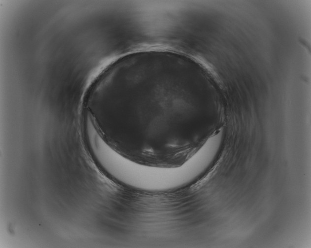 X0000097871414200804041541