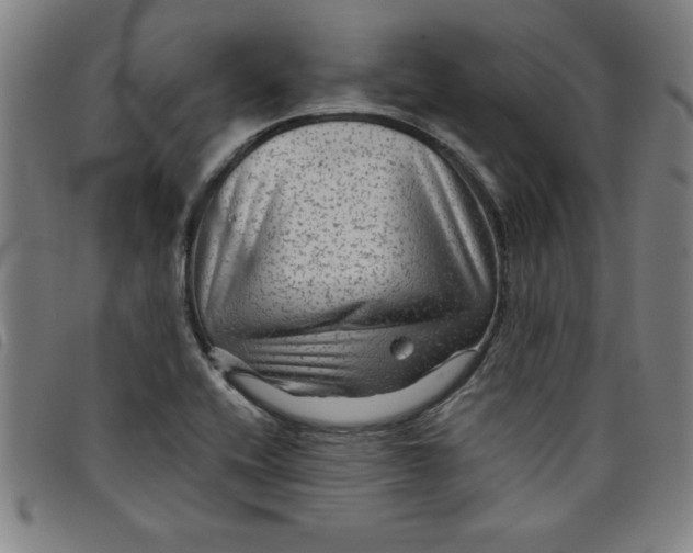 X0000097871416200804041541