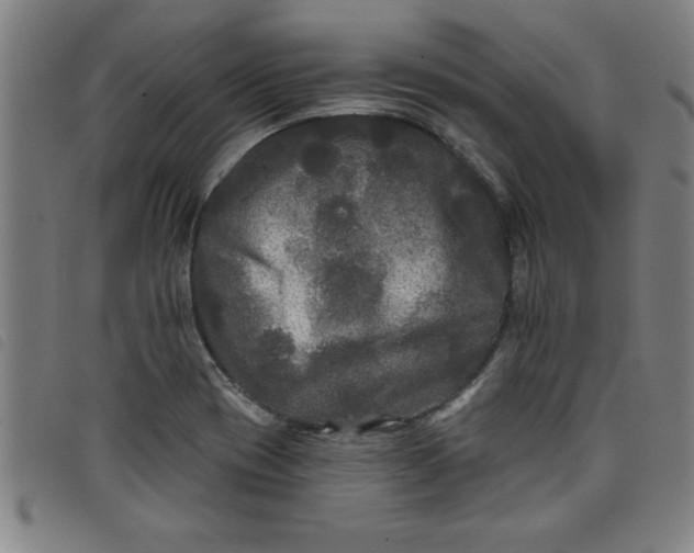 X0000097871417200804041541