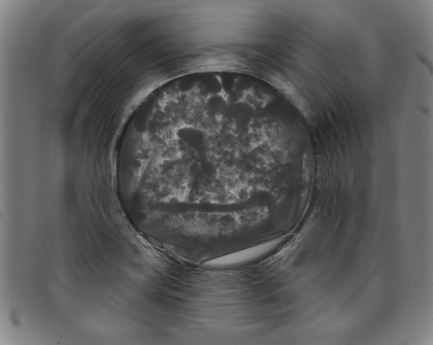 X0000097871419200804041541