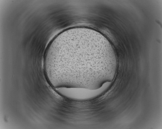 X0000097871420200804041541