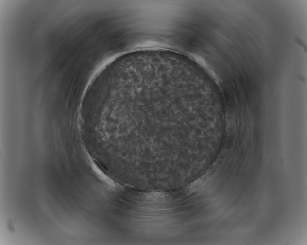 X0000097871421200804041541