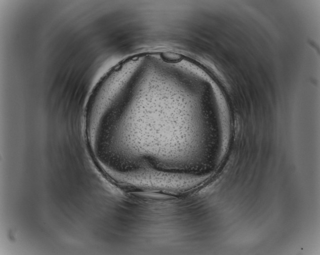 X0000097871424200804041541