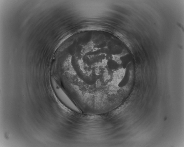 X0000097871425200804041541